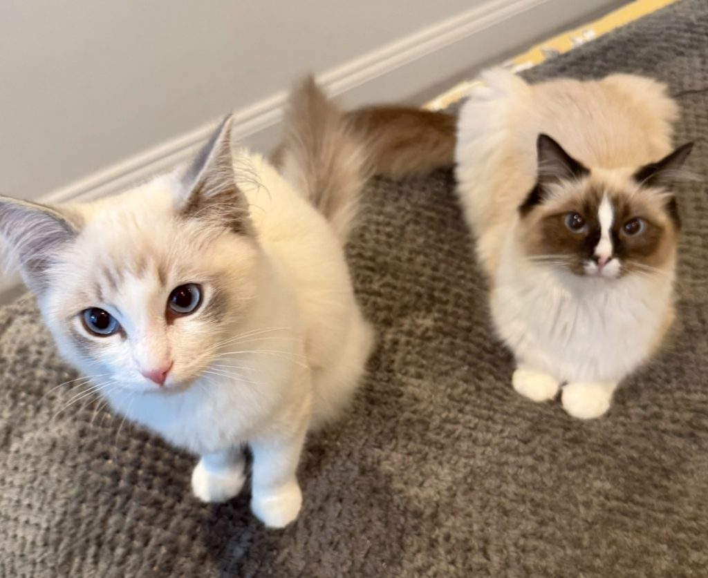Otterlie and Oliver
